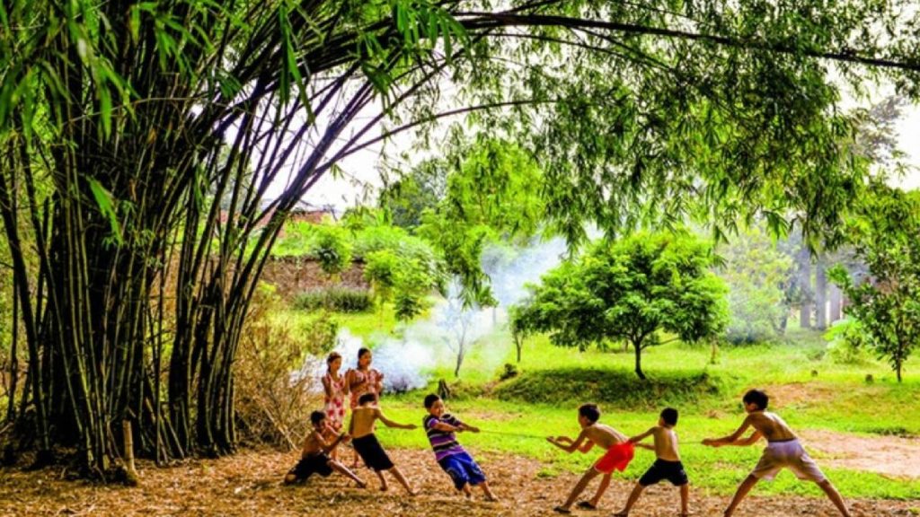 Bàn việc chọn Quốc Hoa – Góc nhìn sâu sắc từ tác giả Lê Quang Khang về biểu tượng văn hóa của dân tộc Việt Nam 4 Thiết kế thi công sân vườn trọn gói tại hà nội