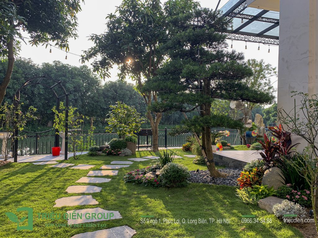 Cải Tạo Sân Vườn Biệt Thự - Không Gian Sống Mới Tại Vinhomes Riverside 3 Cải Tạo Sân Vườn Biệt Thự - Không Gian Sống Mới Tại Vinhomes Riverside