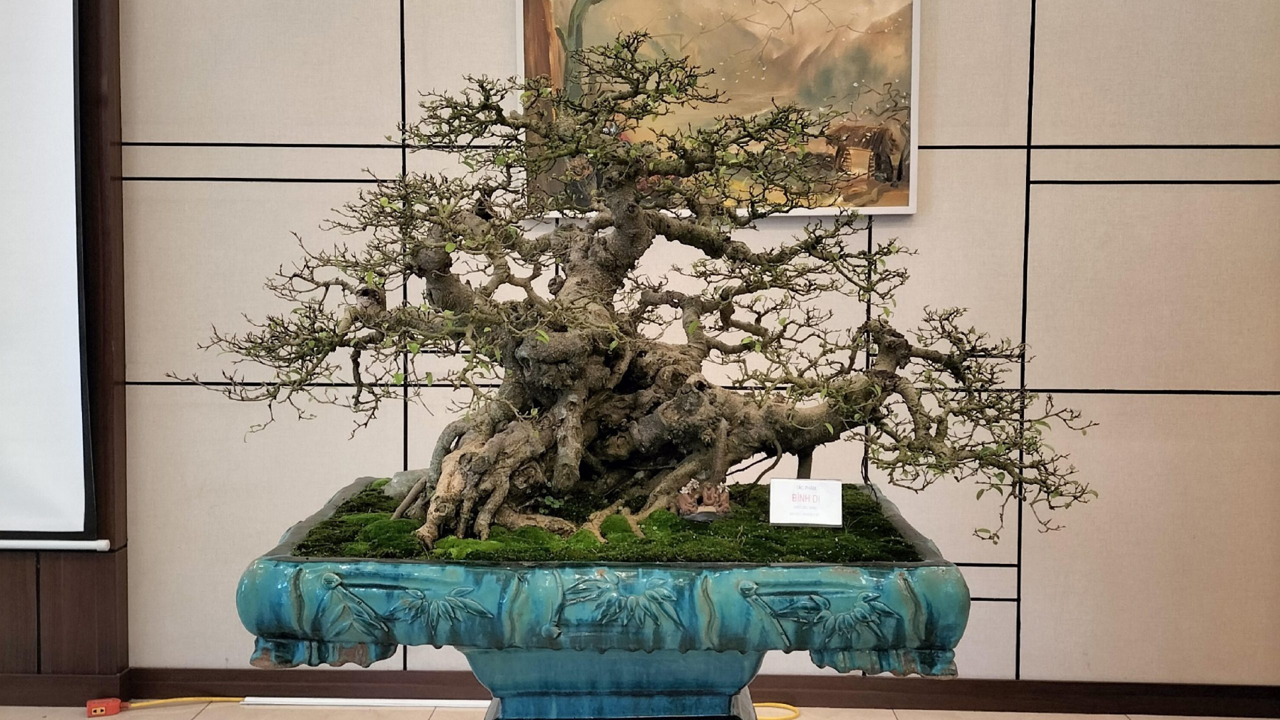 Thiết kế thi công sân vườn trọn gói tại hà nội