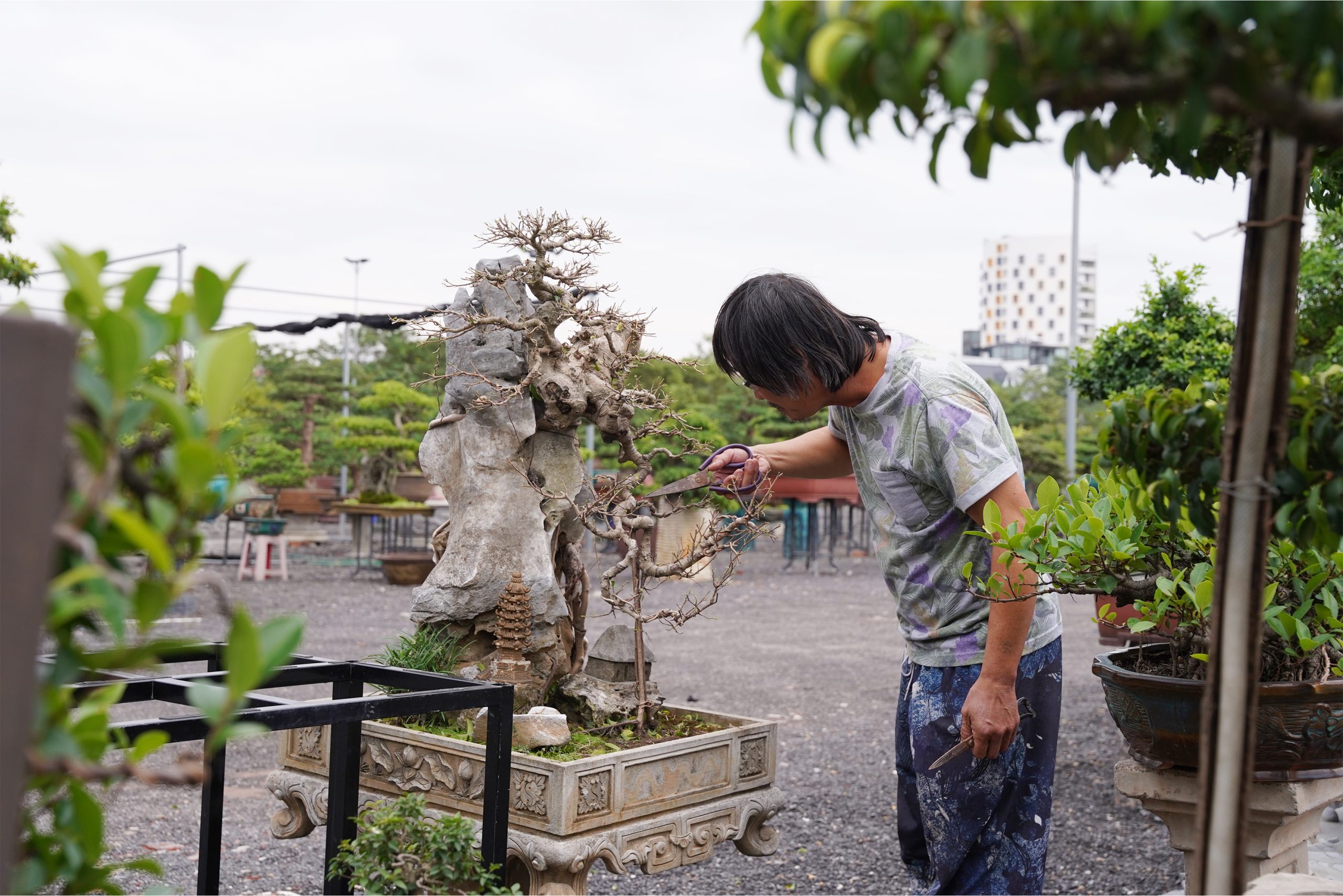 Thiết kế thi công sân vườn trọn gói tại hà nội