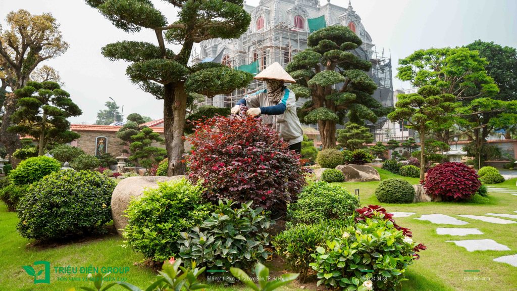 Thiết kế thi công sân vườn trọn gói tại hà nội