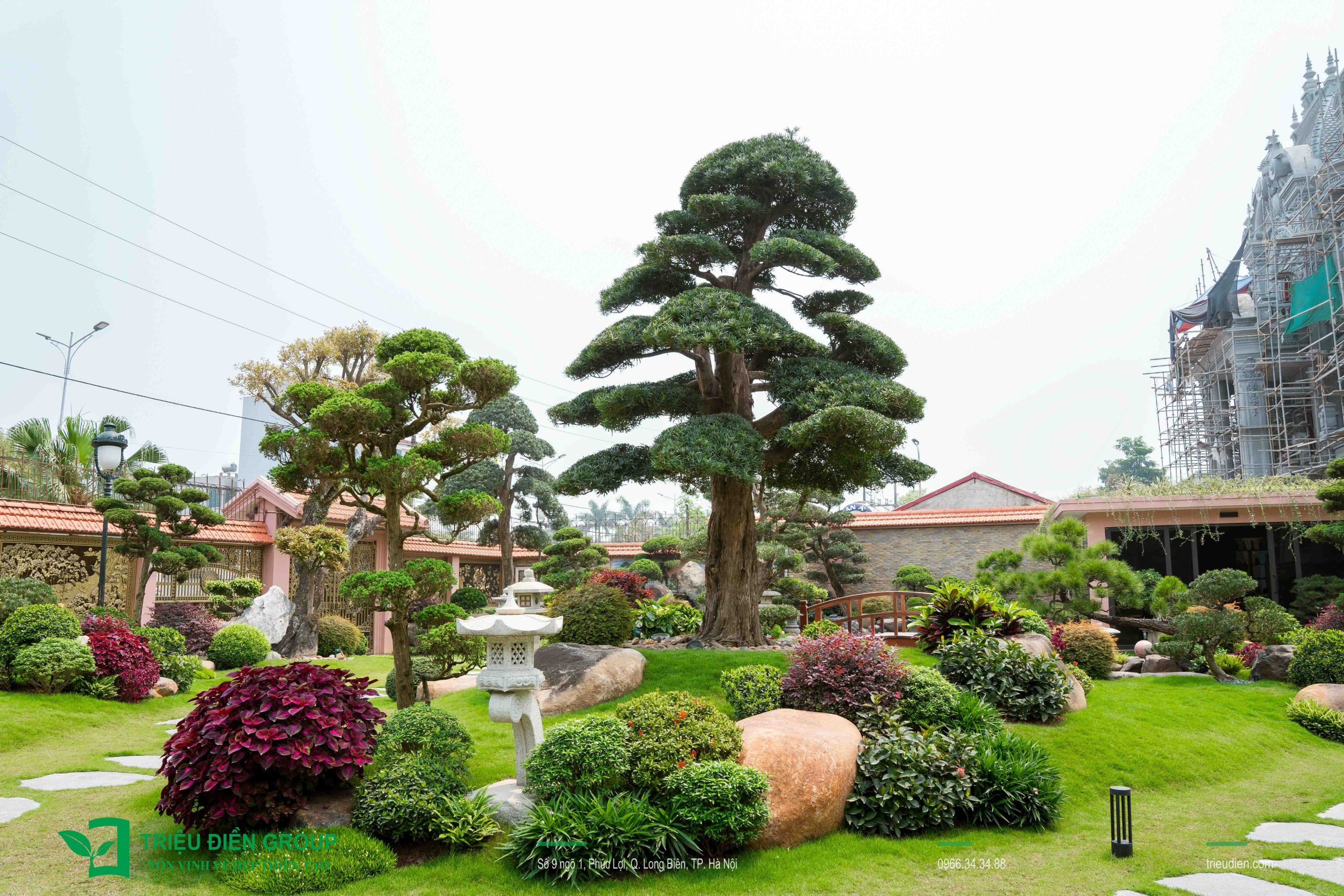 Thiết kế thi công sân vườn trọn gói tại hà nội