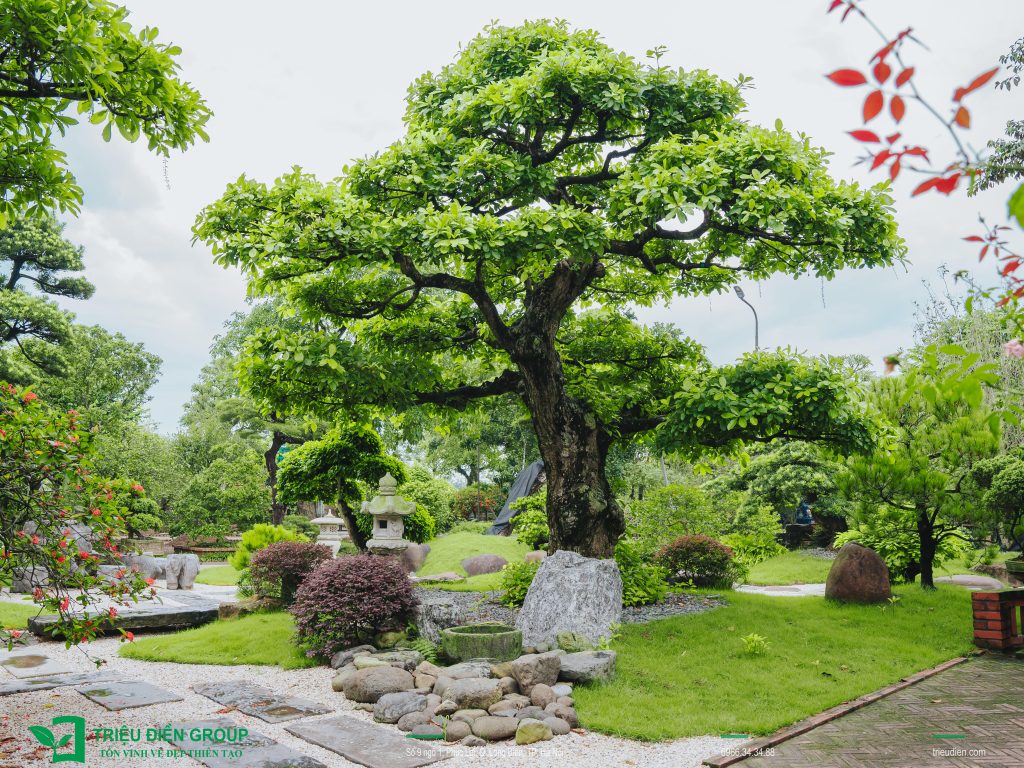 Đá với đời sống tinh thần người Việt 2 Thiết kế thi công sân vườn trọn gói tại hà nội