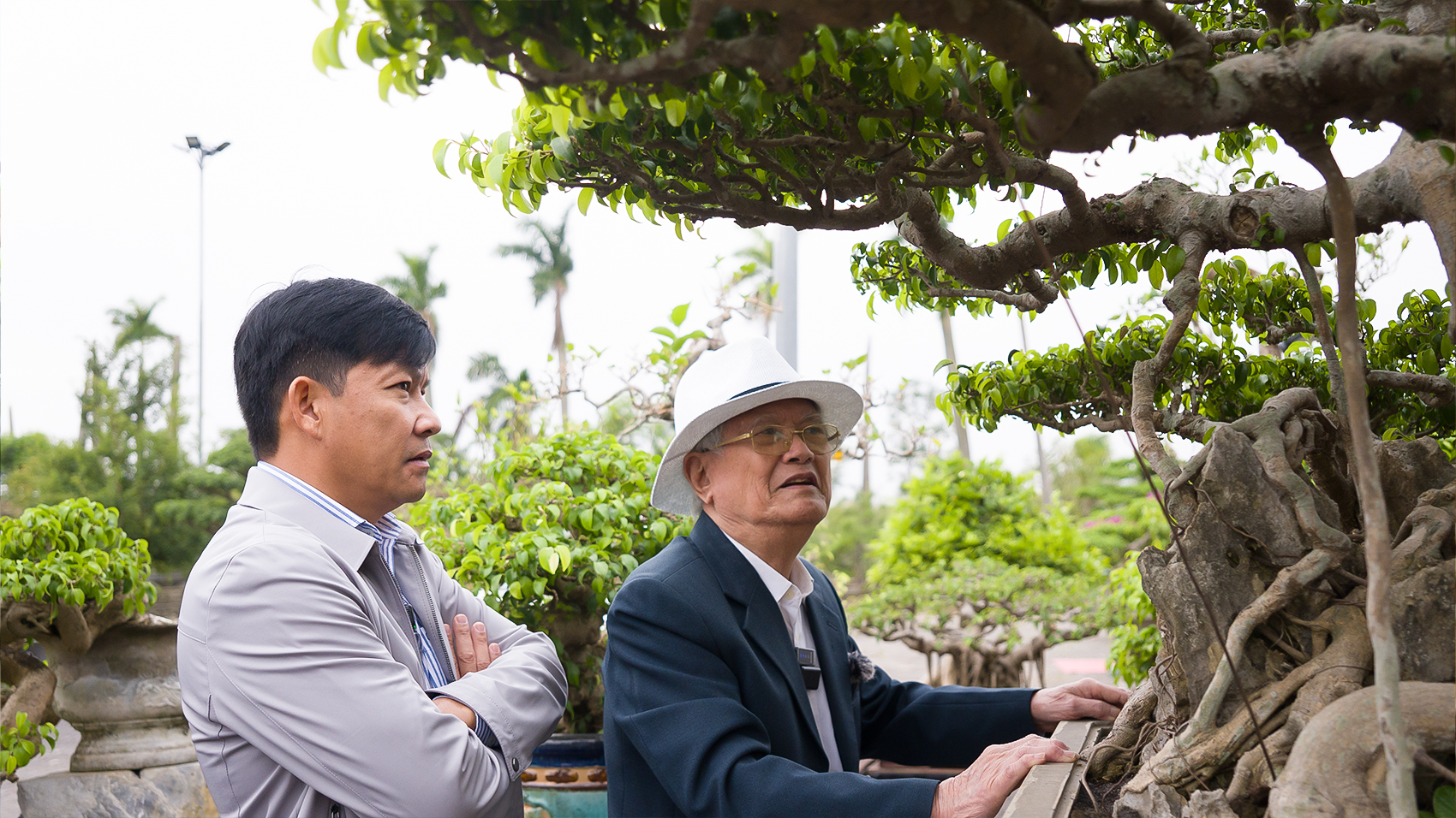 Thiết kế thi công sân vườn trọn gói tại hà nội