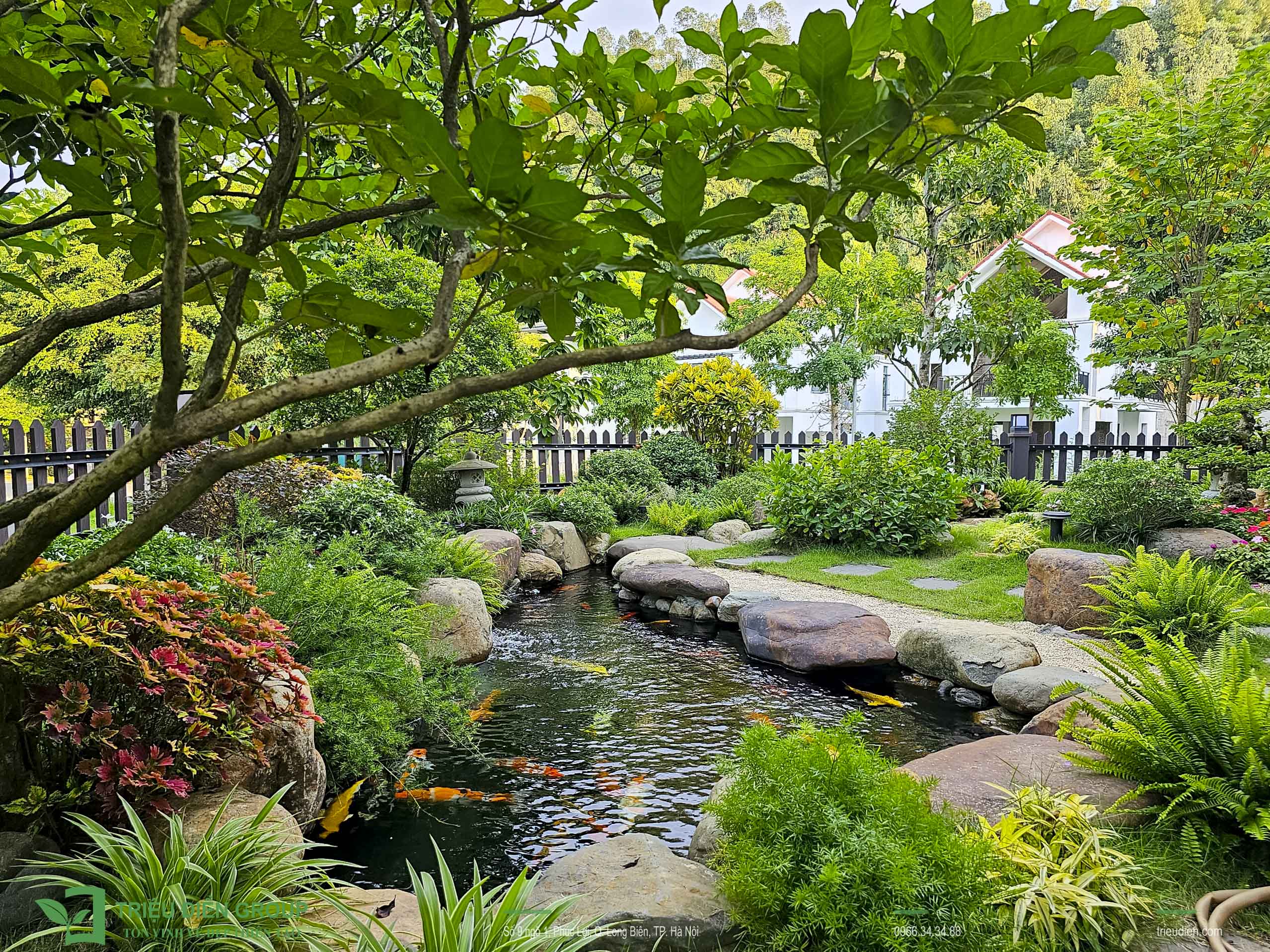 Tổng Hợp Hồ Cá Koi Dành Cho Biệt Thự – Xu Hướng Thiết Kế Đẳng Cấp