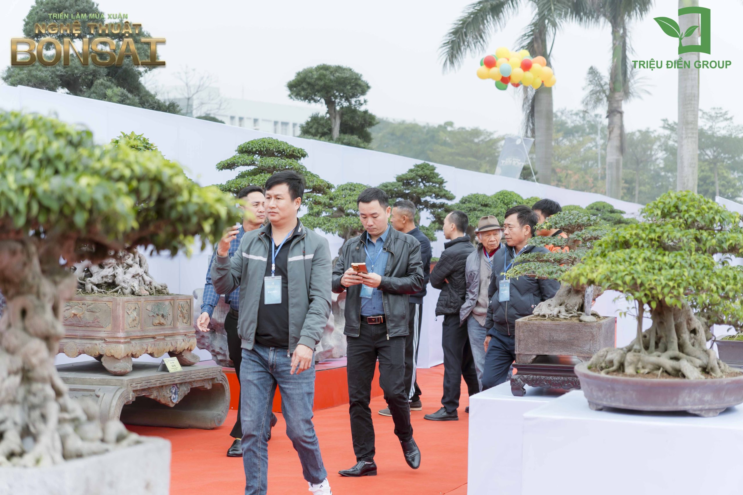 Triển Lãm Mùa Xuân - Nghệ Thuật Bonsai: Lan Tỏa Giá Trị Văn Hóa Cây Cảnh Nghệ Thuật 3 Thiết kế thi công sân vườn trọn gói tại hà nội