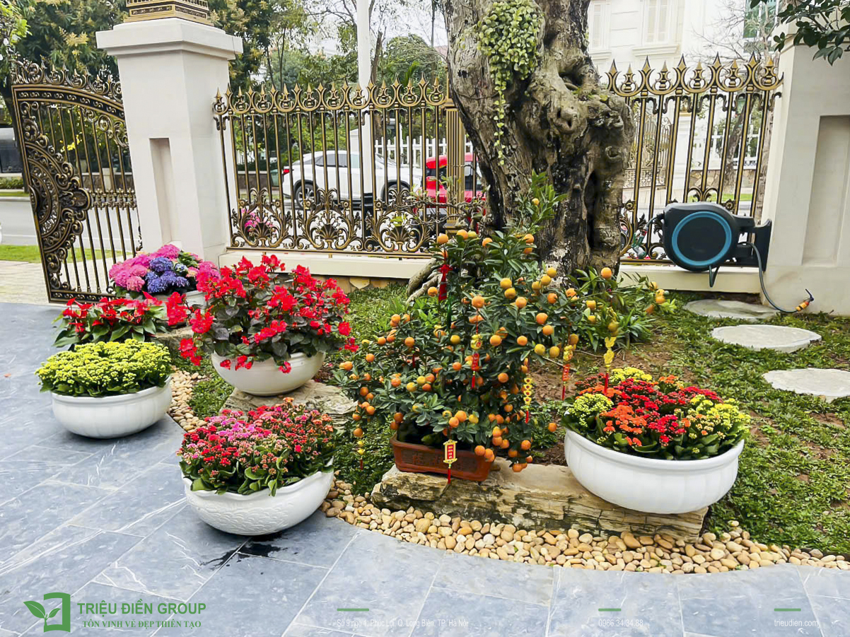 Gợi Ý 10 Loại Hoa Trồng Sân Vườn Biệt Thự Giúp Không Gian Rực Rỡ 2 Thiết kế thi công sân vườn trọn gói tại hà nội