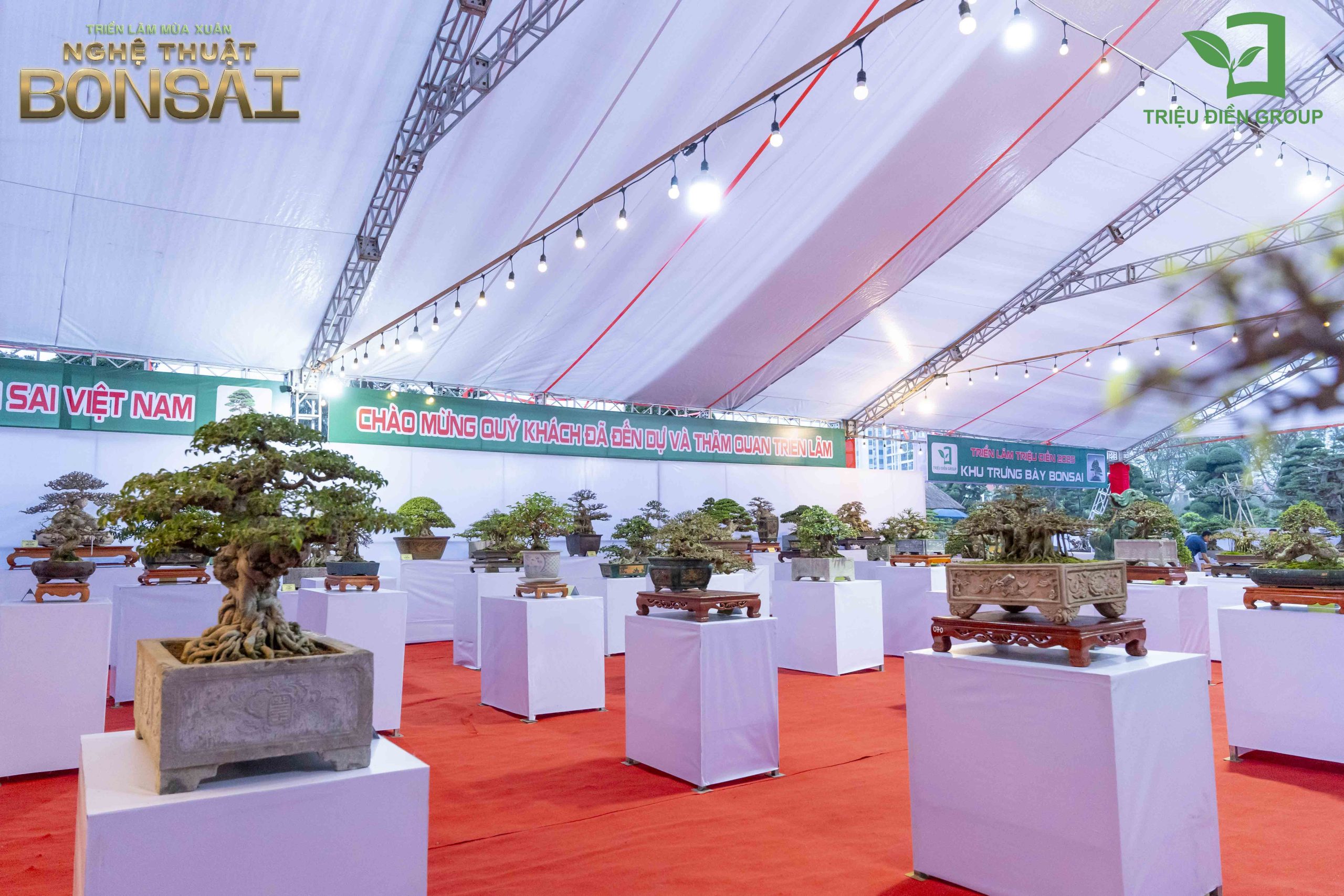 Triển Lãm Mùa Xuân - Nghệ Thuật Bonsai: Lan Tỏa Giá Trị Văn Hóa Cây Cảnh Nghệ Thuật 2 Triển Lãm Mùa Xuân - Nghệ Thuật Bonsai: Lan Tỏa Giá Trị Văn Hóa Cây Cảnh Nghệ Thuật