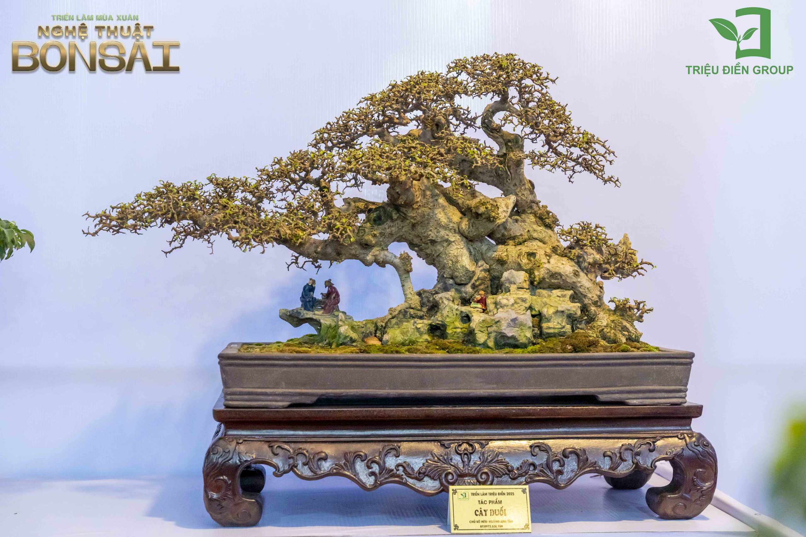 Triển Lãm Mùa Xuân - Nghệ Thuật Bonsai: Lan Tỏa Giá Trị Văn Hóa Cây Cảnh Nghệ Thuật 10 Thiết kế thi công sân vườn trọn gói tại hà nội
