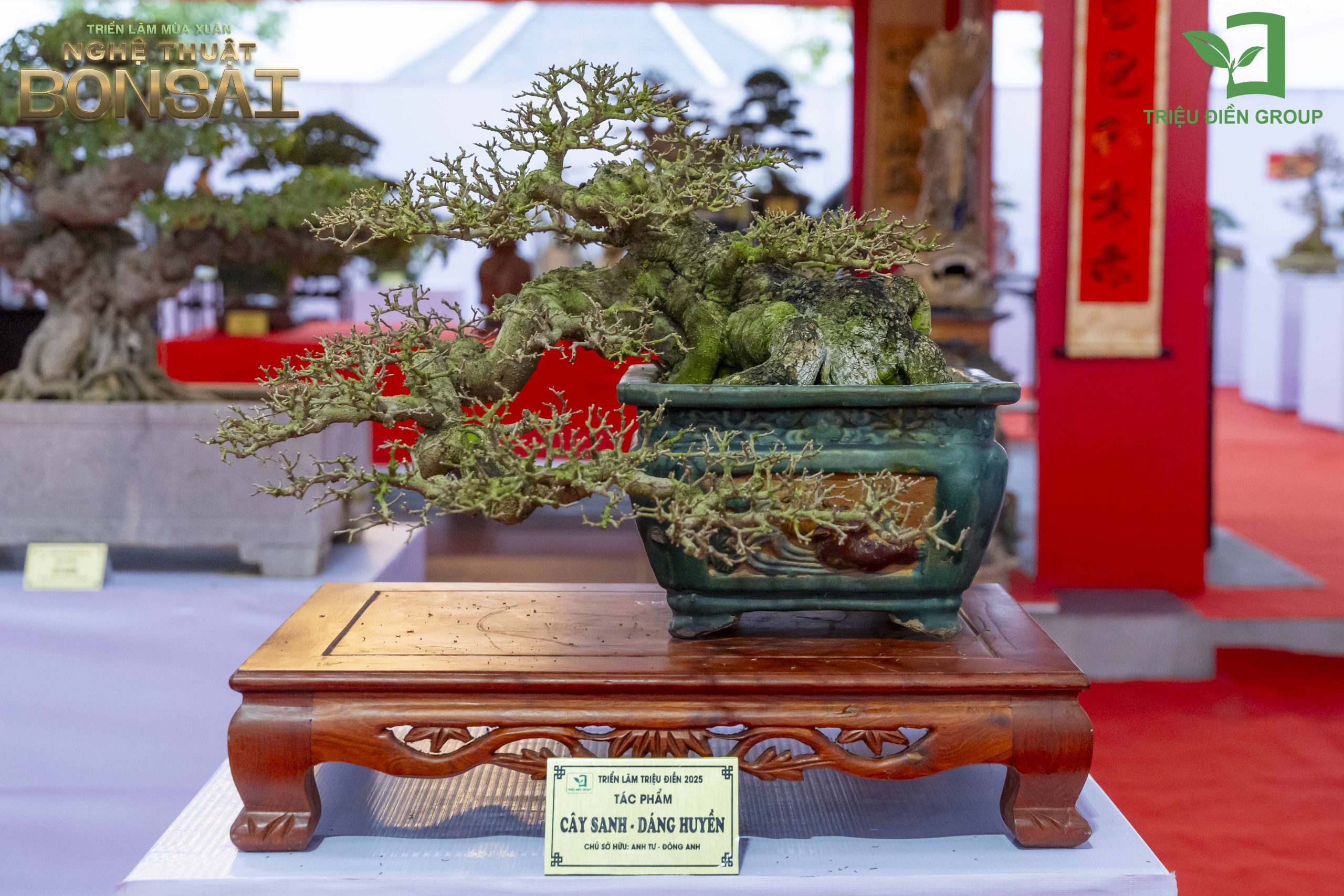Triển Lãm Mùa Xuân - Nghệ Thuật Bonsai: Lan Tỏa Giá Trị Văn Hóa Cây Cảnh Nghệ Thuật 8 Thiết kế thi công sân vườn trọn gói tại hà nội