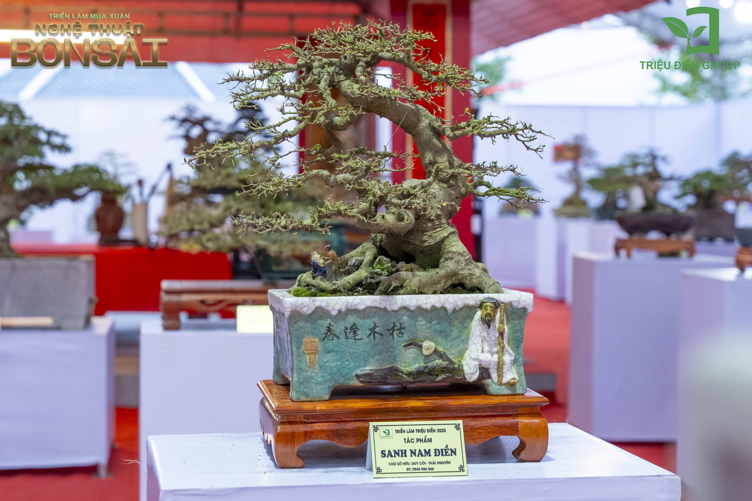 Triển Lãm Mùa Xuân - Nghệ Thuật Bonsai: Lan Tỏa Giá Trị Văn Hóa Cây Cảnh Nghệ Thuật 11 Thiết kế thi công sân vườn trọn gói tại hà nội