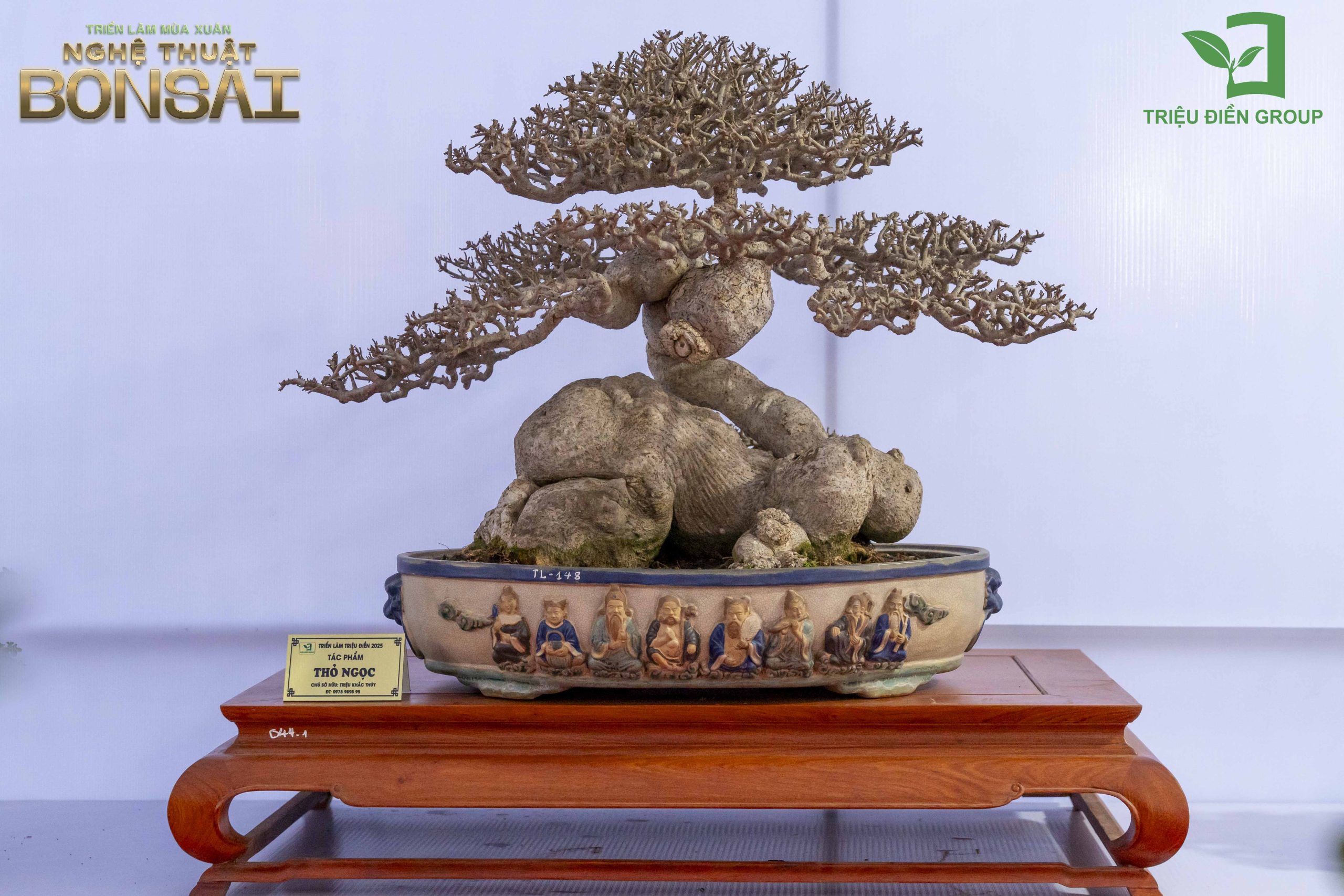 Triển Lãm Mùa Xuân - Nghệ Thuật Bonsai: Lan Tỏa Giá Trị Văn Hóa Cây Cảnh Nghệ Thuật 9 Thiết kế thi công sân vườn trọn gói tại hà nội