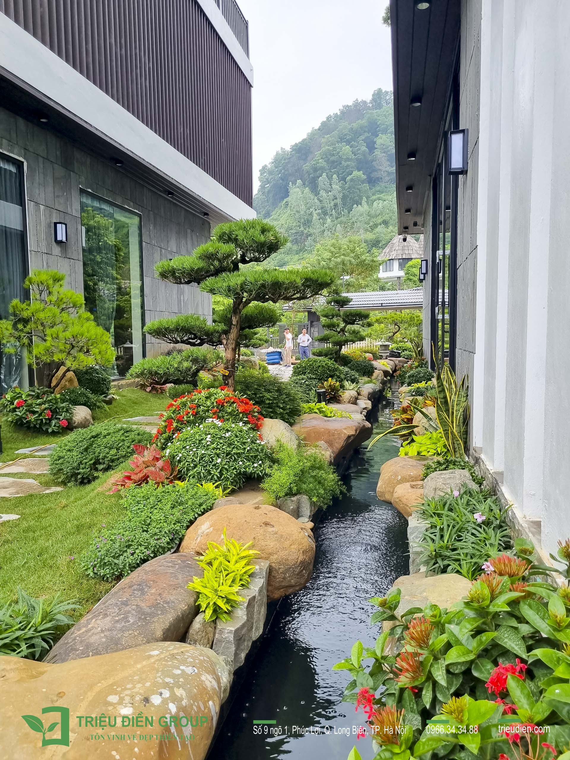 Những Dự Án Hồ Cá Koi Ấn Tượng Tại Hà Nội 14 Thiết kế thi công sân vườn trọn gói tại hà nội