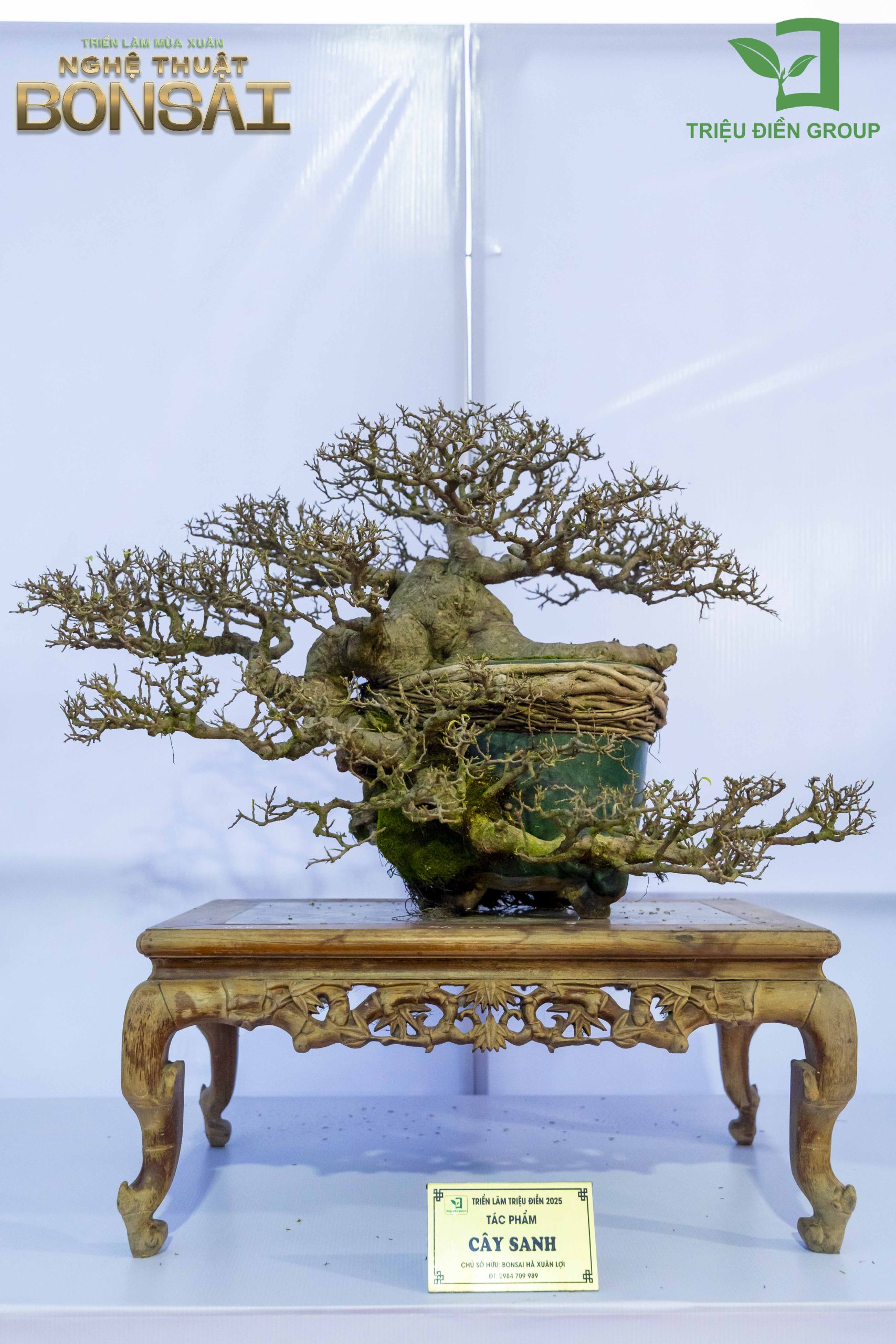 Triển Lãm Mùa Xuân - Nghệ Thuật Bonsai: Lan Tỏa Giá Trị Văn Hóa Cây Cảnh Nghệ Thuật 5 Thiết kế thi công sân vườn trọn gói tại hà nội