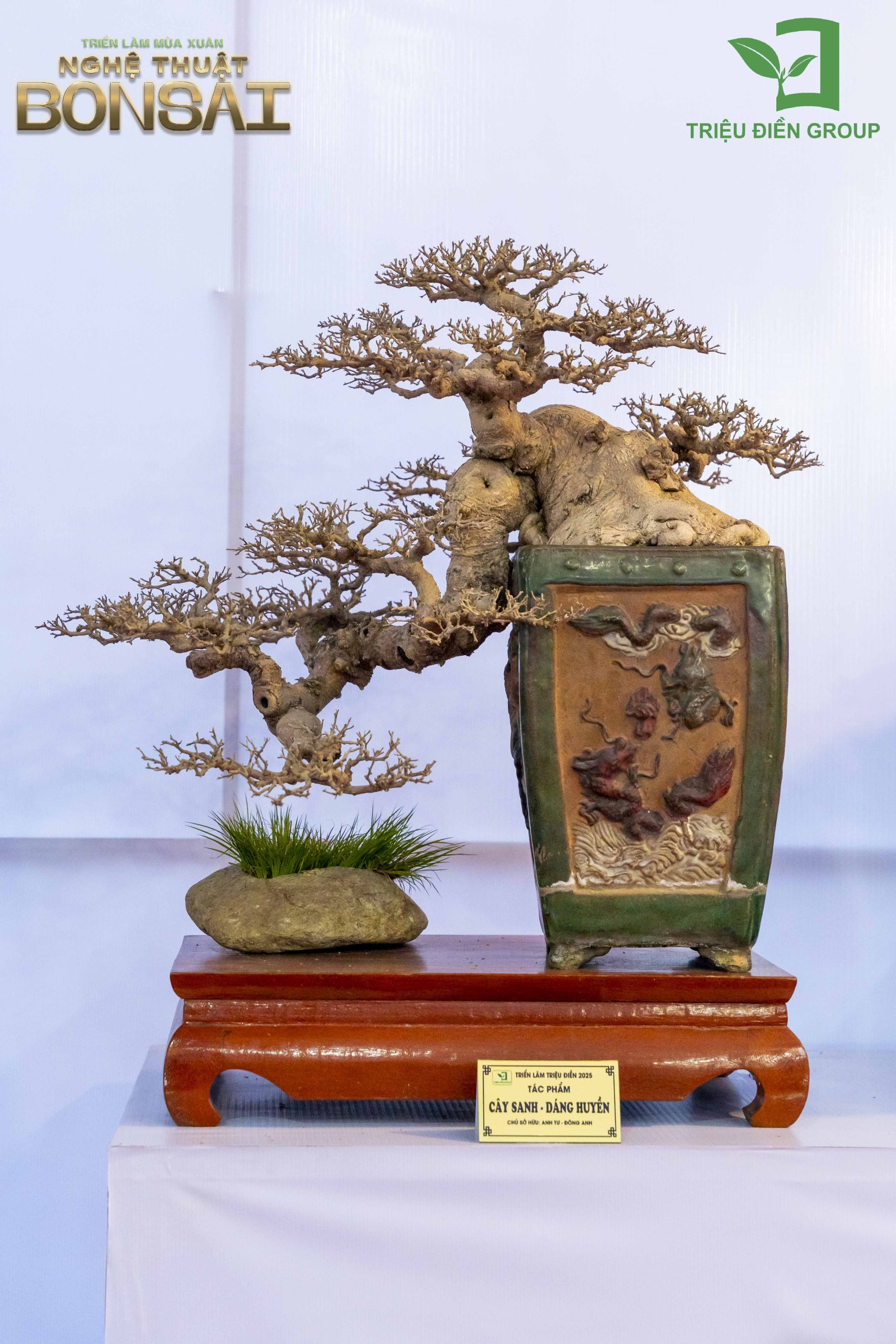 Triển Lãm Mùa Xuân - Nghệ Thuật Bonsai: Lan Tỏa Giá Trị Văn Hóa Cây Cảnh Nghệ Thuật 6 Thiết kế thi công sân vườn trọn gói tại hà nội