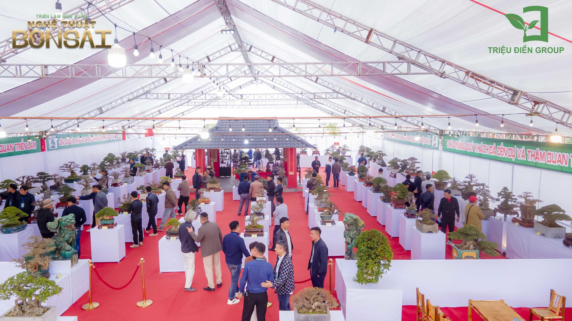 Triển Lãm Mùa Xuân - Nghệ Thuật Bonsai: Lan Tỏa Giá Trị Văn Hóa Cây Cảnh Nghệ Thuật 1 Thiết kế thi công sân vườn trọn gói tại hà nội