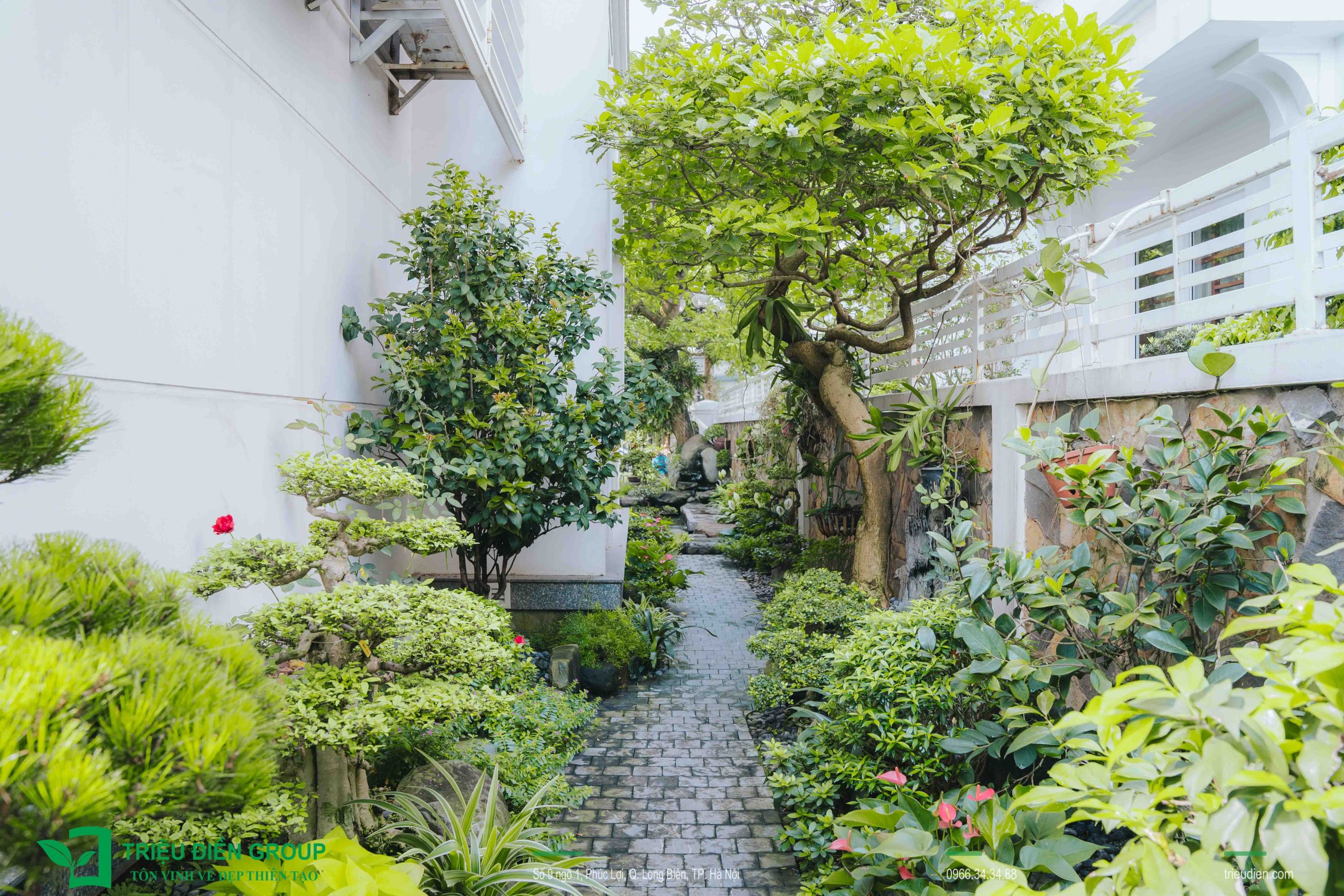 Thiết kế thi công sân vườn trọn gói tại hà nội