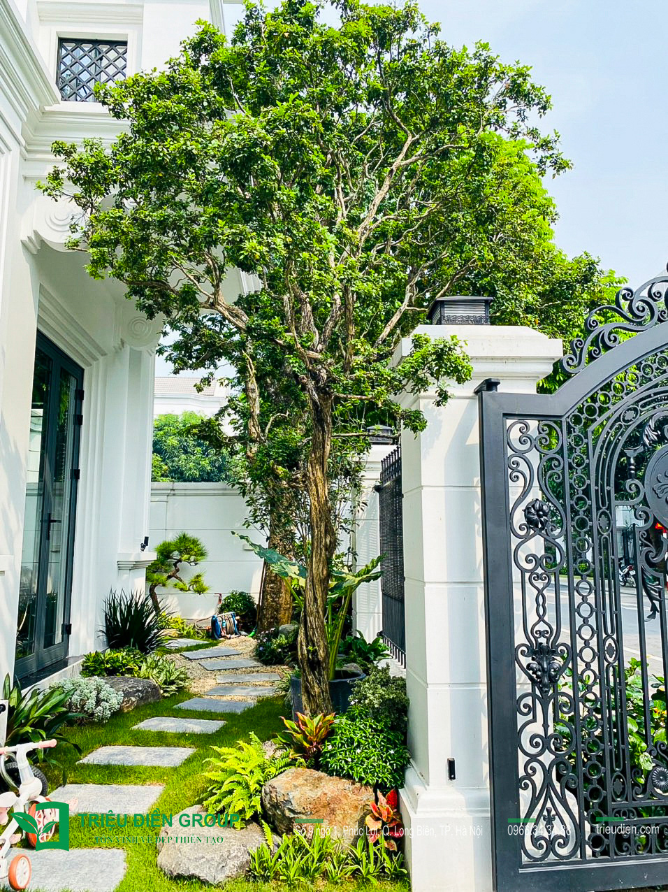 Thiết kế thi công sân vườn trọn gói tại hà nội