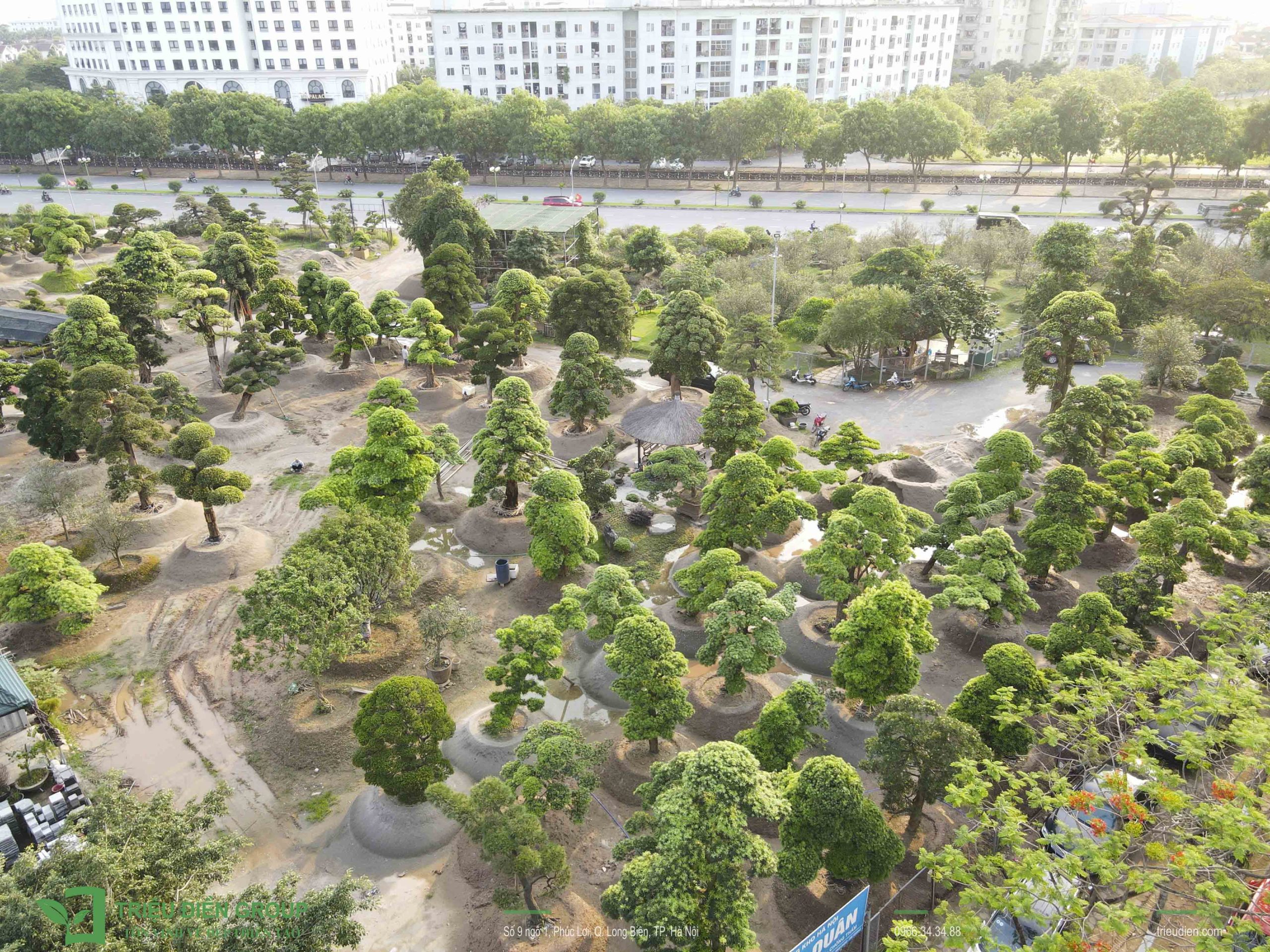 Thi Công Sân Vườn Tại Hà Nội Trọn Gói | Báo Giá Chi Tiết 2025 3 Thi Công Sân Vườn Tại Hà Nội Trọn Gói