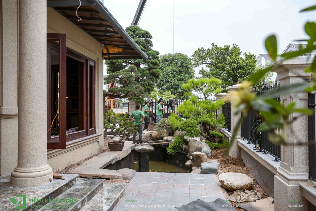 Báo Giá Thi Công Hồ Cá Koi Mới Nhất - Dịch Vụ Chuyên Nghiệp Tại Hà Nội 2 Báo Giá Thi Công Hồ Cá Koi