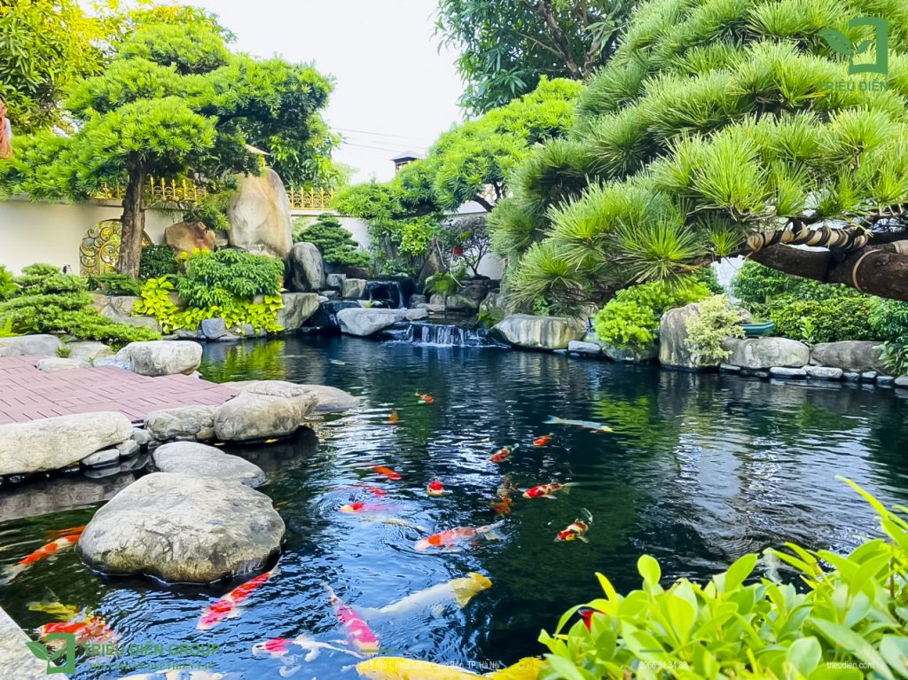 Báo Giá Thi Công Hồ Cá Koi Mới Nhất - Dịch Vụ Chuyên Nghiệp Tại Hà Nội 5 Báo Giá Thi Công Hồ Cá Koi