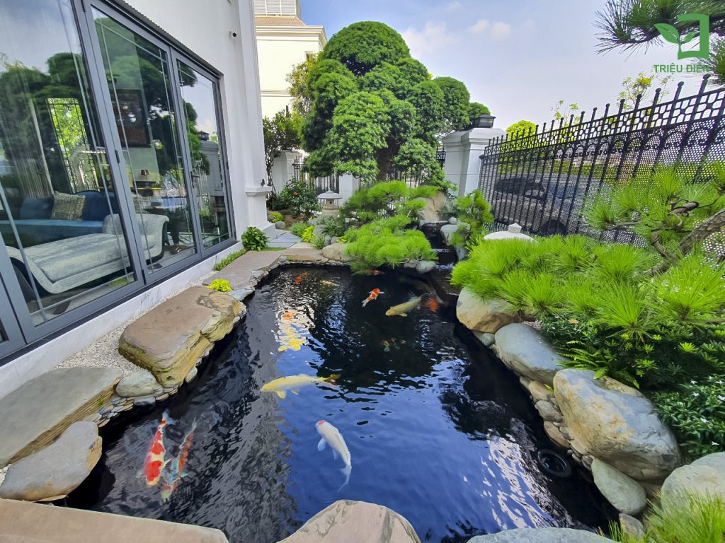 Báo Giá Thi Công Hồ Cá Koi Mới Nhất - Dịch Vụ Chuyên Nghiệp Tại Hà Nội 14 Báo Giá Thi Công Hồ Cá Koi Mới Nhất 2025 | Dịch Vụ Chuyên Nghiệp Tại Hà Nội