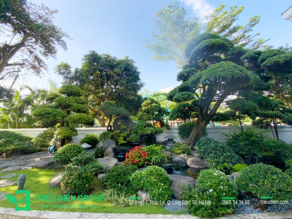 10 Mẫu Thiết Kế Thi Công Sân Vườn Biệt Thự Vinhomes 40 Thiết kế thi công sân vườn trọn gói tại hà nội