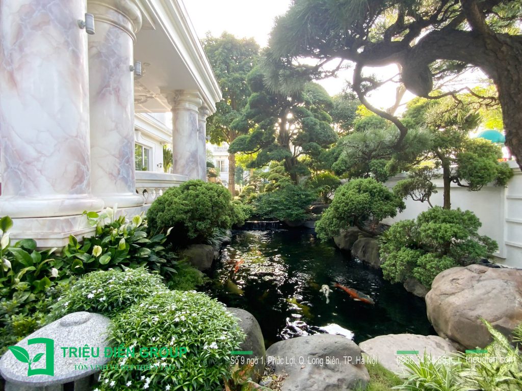 10 Mẫu Thiết Kế Thi Công Sân Vườn Biệt Thự Vinhomes 41 Thiết kế thi công sân vườn trọn gói tại hà nội