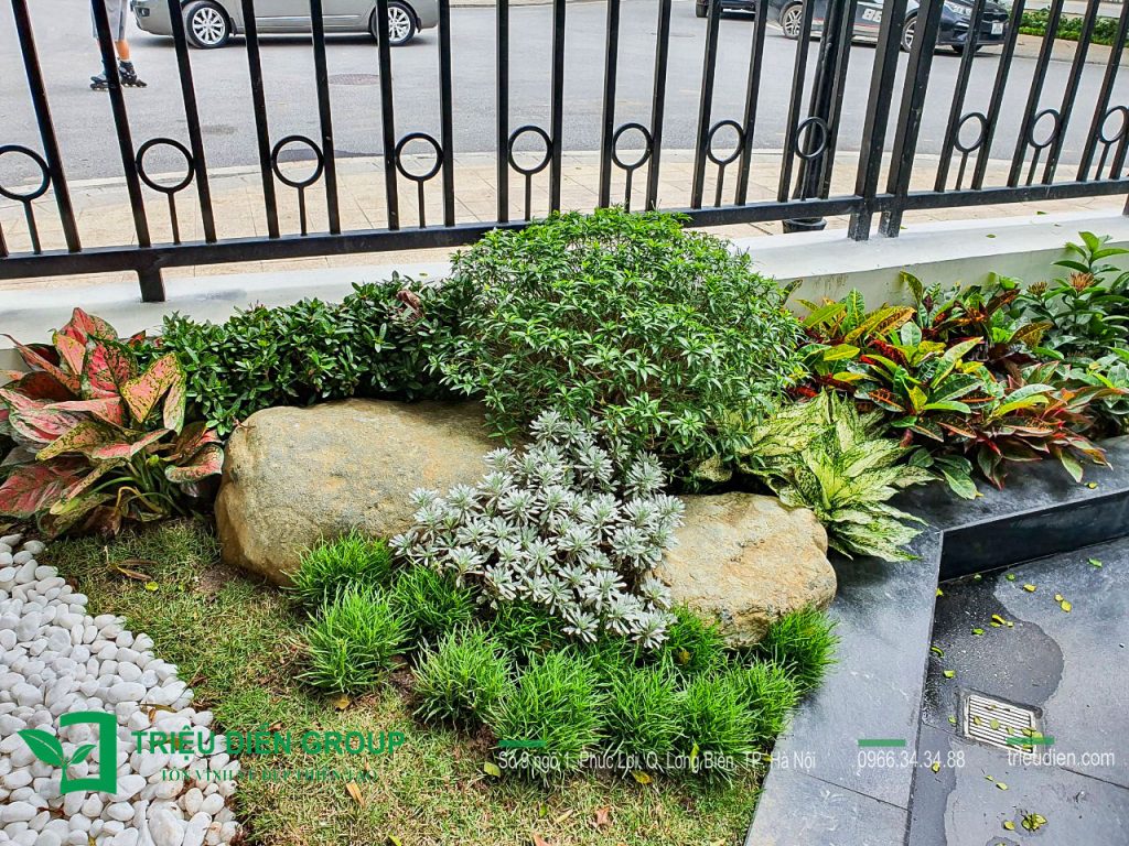 10 Mẫu Thiết Kế Thi Công Sân Vườn Biệt Thự Vinhomes 8 Thiết kế thi công sân vườn trọn gói tại hà nội