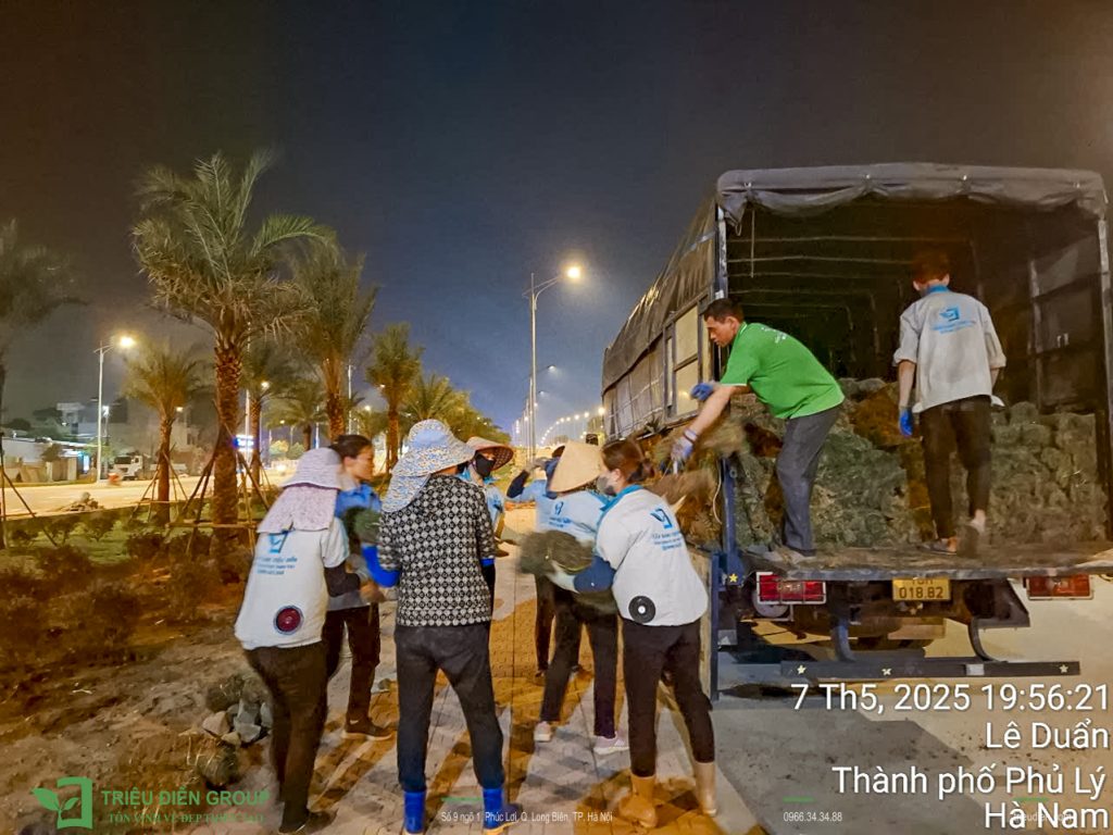 Thiết Kế Và Thi Công Cảnh Quan – Xây Dựng Không Gian Sống Bền Vững 16 Thiết kế thi công sân vườn trọn gói tại hà nội