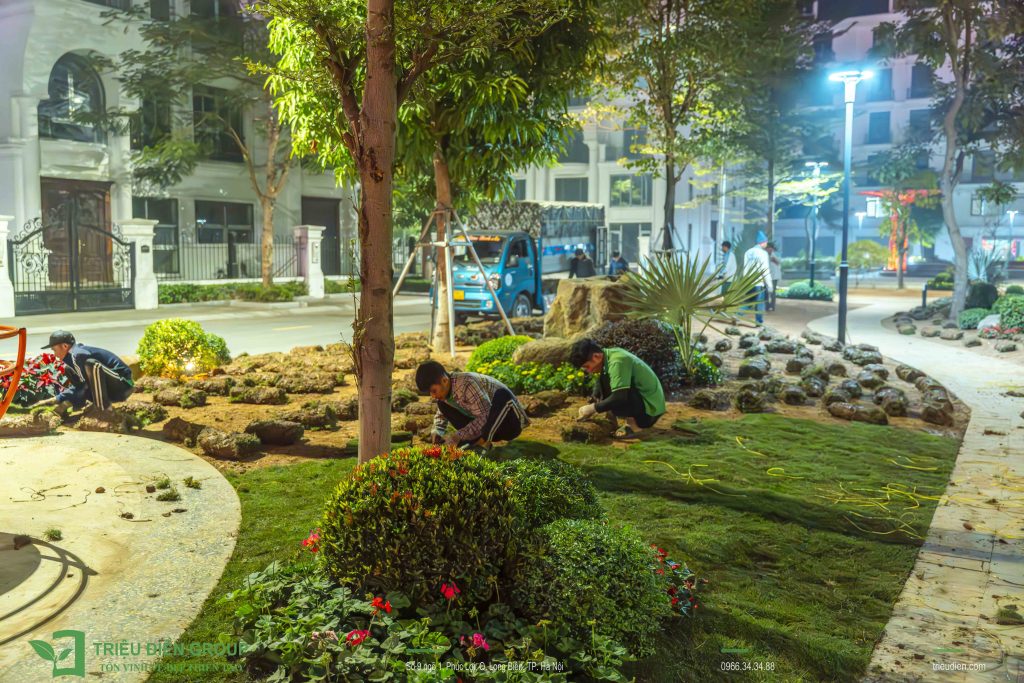Kỷ Niệm 10 Năm Thành Lập Triệu Điền Group | Hành trình khởi đầu từ đam mê và thử thách 7 Thiết kế thi công sân vườn trọn gói tại hà nội