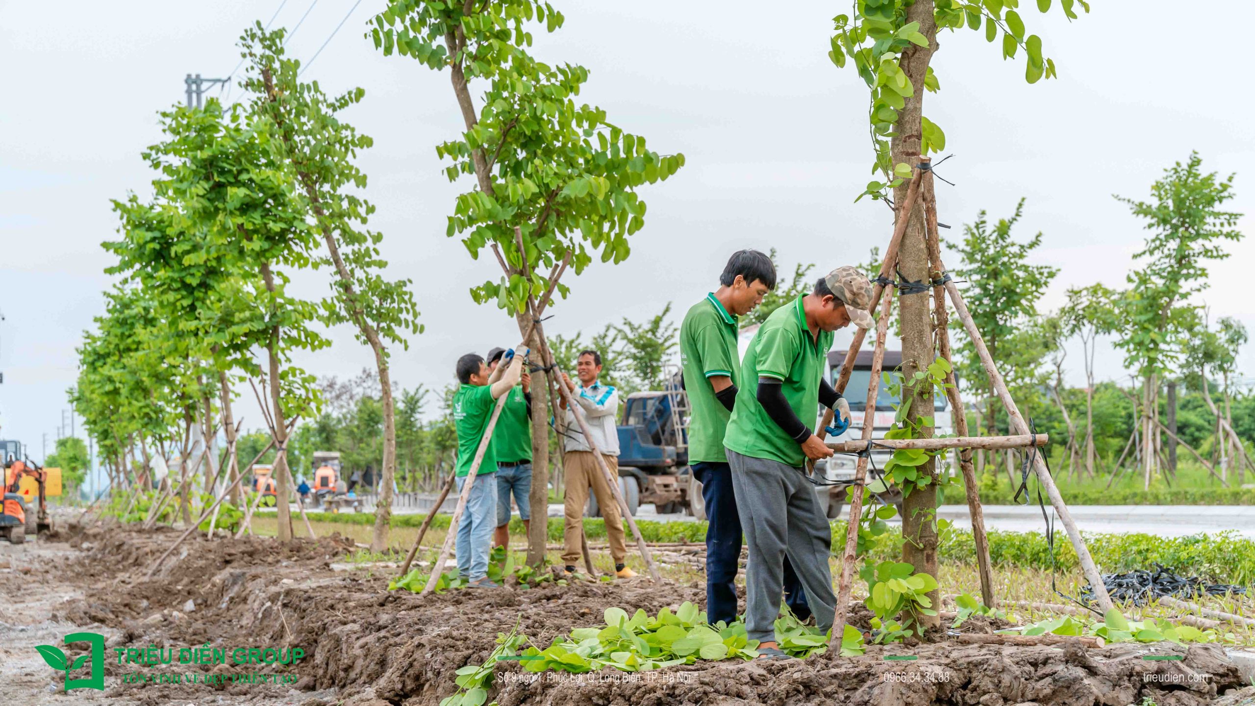 Thiết Kế Và Thi Công Cảnh Quan – Xây Dựng Không Gian Sống Bền Vững
