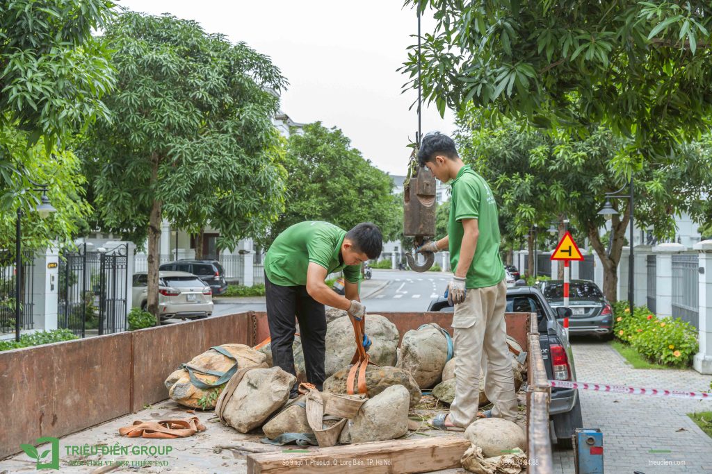 Kỷ Niệm 10 Năm Thành Lập Triệu Điền Group | Hành trình khởi đầu từ đam mê và thử thách 5 Thiết kế thi công sân vườn trọn gói tại hà nội