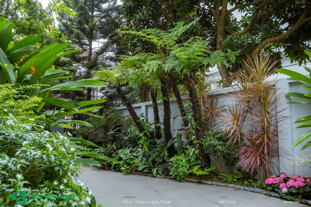 10 Mẫu Thiết Kế Thi Công Sân Vườn Biệt Thự Vinhomes 36 Thiết kế thi công sân vườn trọn gói tại hà nội