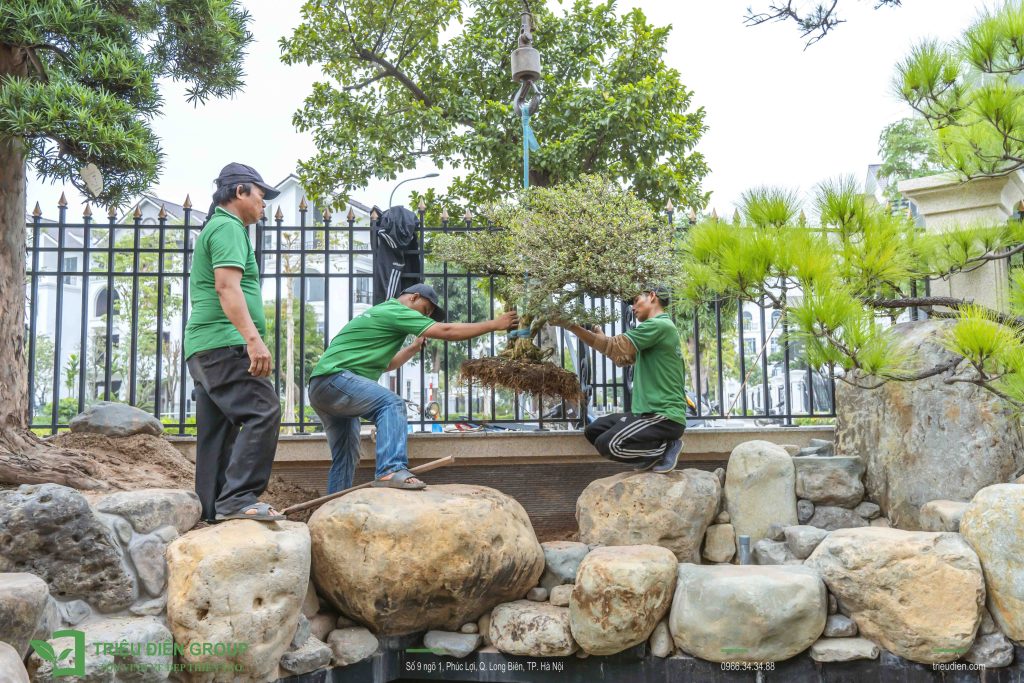 Kỷ Niệm 10 Năm Thành Lập Triệu Điền Group | Hành trình khởi đầu từ đam mê và thử thách 6 Thiết kế thi công sân vườn trọn gói tại hà nội