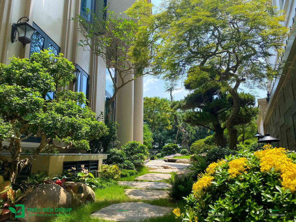 Thi Công Cải Tạo Sân Vườn – Giải Pháp Tối Ưu Chi Phí 4 Thiết kế thi công sân vườn trọn gói tại hà nội