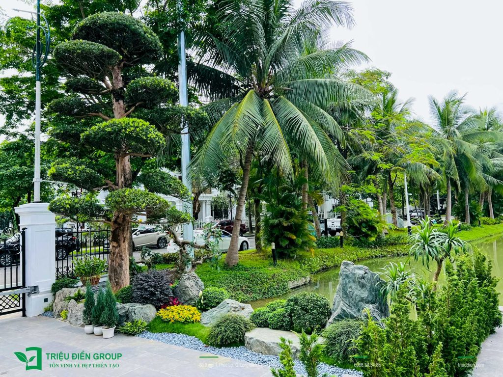 Thi Công Cải Tạo Sân Vườn – Giải Pháp Tối Ưu Chi Phí 3 Dự án cải tạo sân vườn tại KĐT Vinhomes do Triệu Điền Group thực hiện