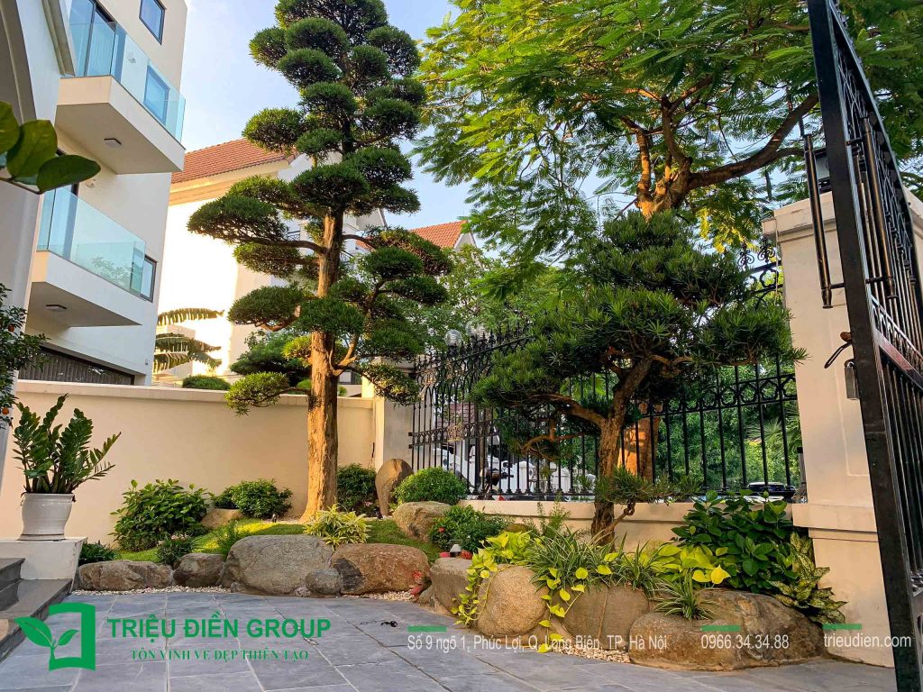 10 Mẫu Thiết Kế Thi Công Sân Vườn Biệt Thự Vinhomes 27 Thiết kế thi công sân vườn trọn gói tại hà nội