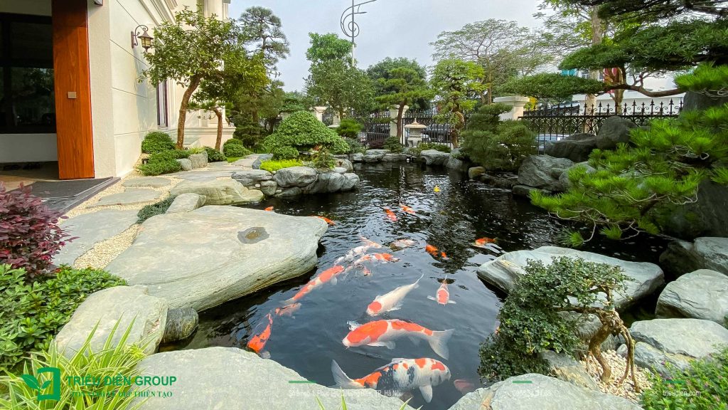 Lưu Ý Khi Thi Công Hồ Cá Koi – Tránh 5 Sai Lầm Thường Gặp 10 Thiết kế thi công sân vườn trọn gói tại hà nội