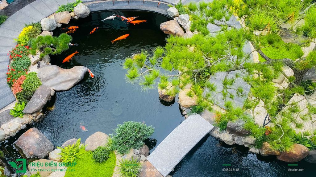 Lưu Ý Khi Thi Công Hồ Cá Koi – Tránh 5 Sai Lầm Thường Gặp 7 Thiết kế thi công sân vườn trọn gói tại hà nội
