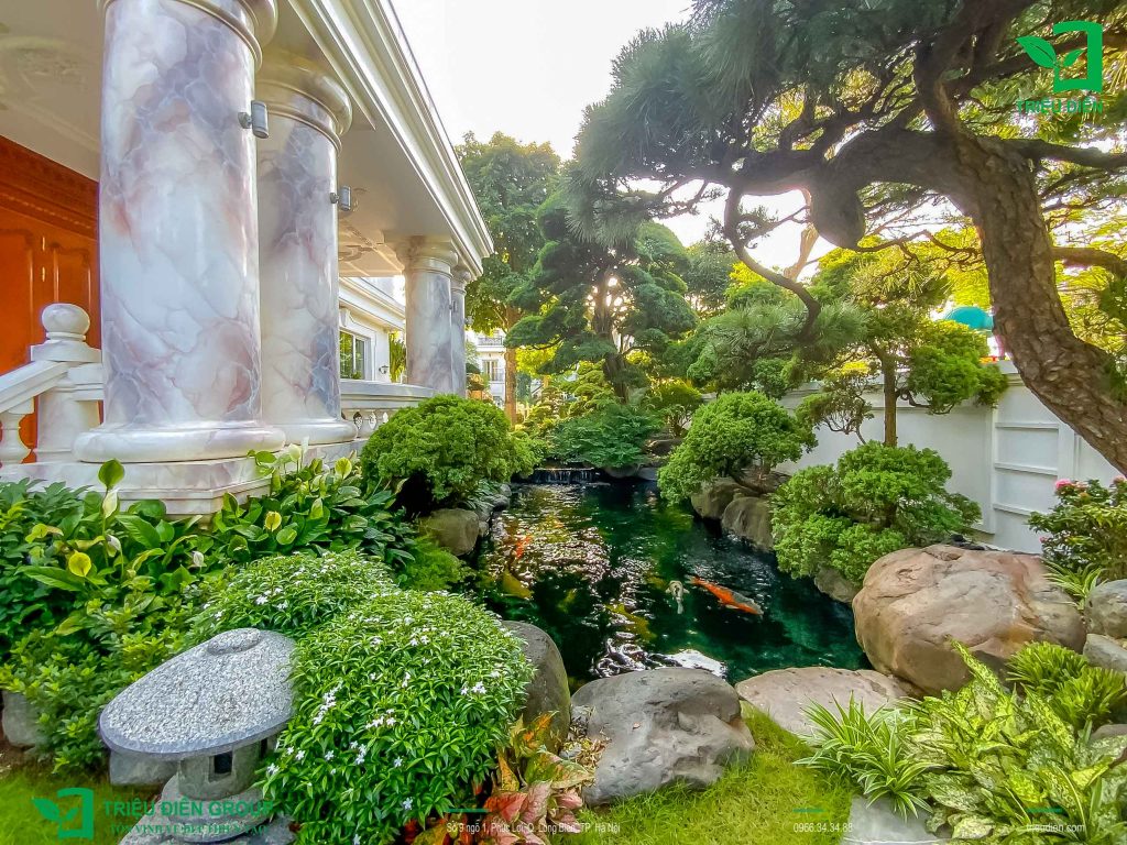 Thi Công Hồ Cá Koi Sân Vườn Tại Bắc Ninh Uy Tín – Giá Tốt 2025 4 Hồ cá Koi sân vườn biệt thự hoàn thiện tại Splendora Bắc An Khánh – Hoài Đức