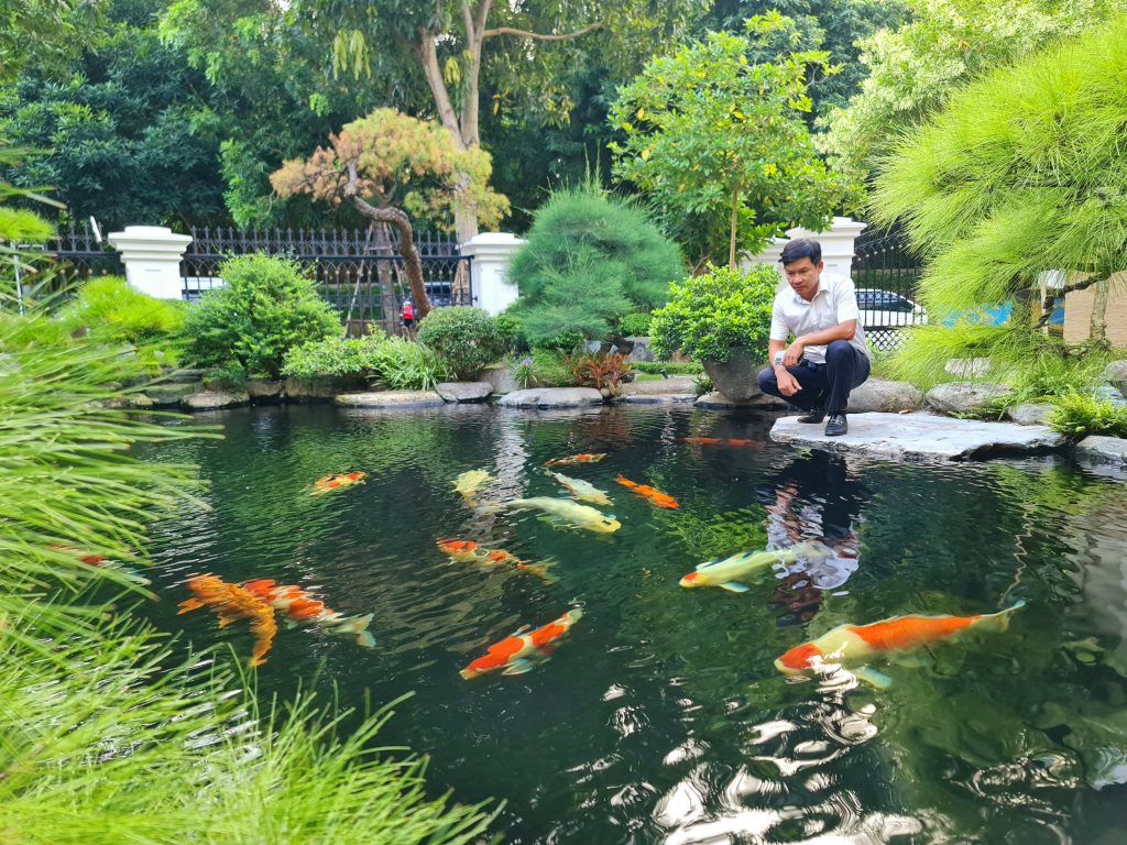 Thi Công Cải Tạo Sân Vườn – Giải Pháp Tối Ưu Chi Phí 14 Thiết kế thi công sân vườn trọn gói tại hà nội