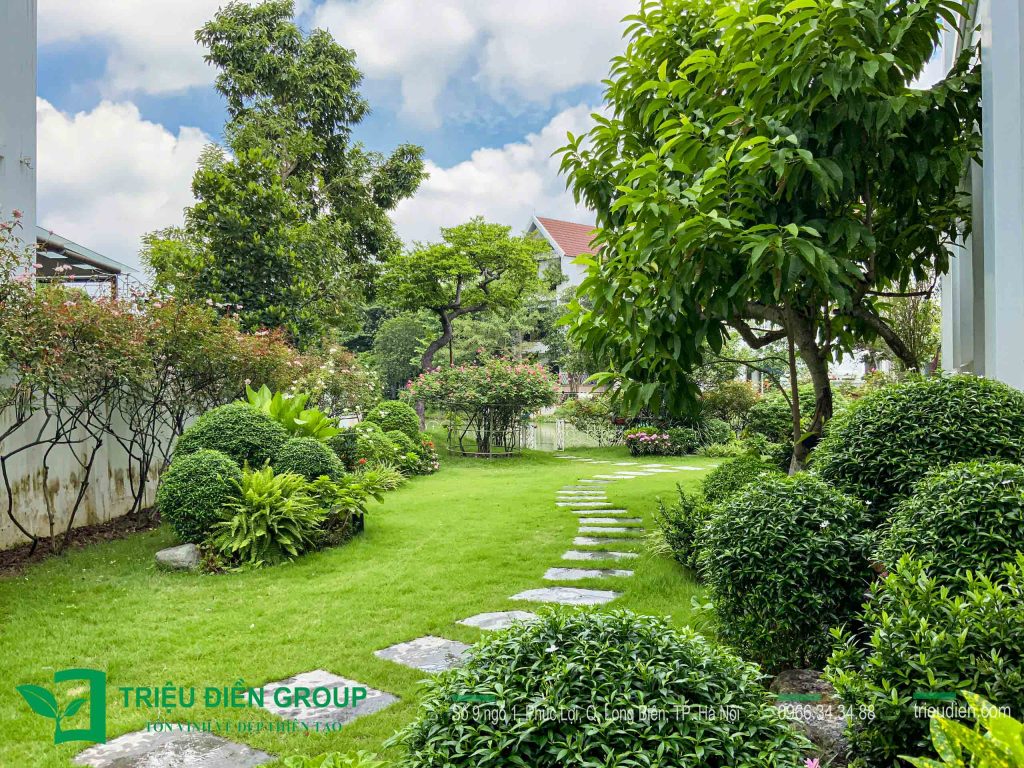 10 Mẫu Thiết Kế Thi Công Sân Vườn Biệt Thự Vinhomes 22 Thiết kế thi công sân vườn trọn gói tại hà nội
