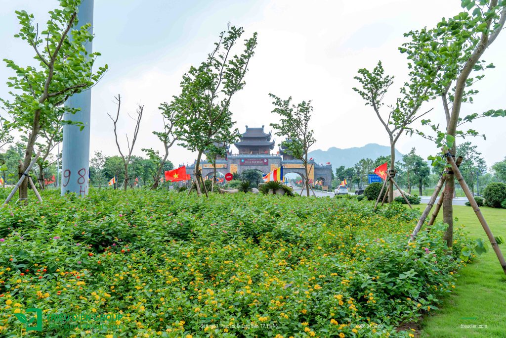 Thiết Kế Và Thi Công Cảnh Quan – Xây Dựng Không Gian Sống Bền Vững 12 Thiết kế thi công sân vườn trọn gói tại hà nội