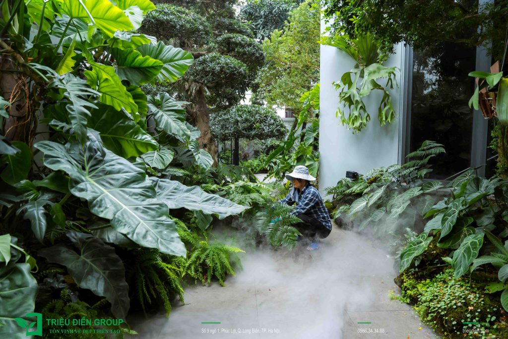 10 Mẫu Thiết Kế Thi Công Sân Vườn Biệt Thự Vinhomes 35 Thiết kế thi công sân vườn trọn gói tại hà nội