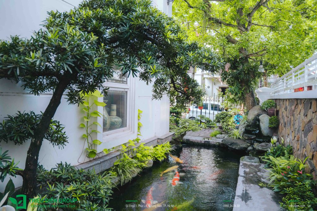 10 Mẫu Thiết Kế Thi Công Sân Vườn Biệt Thự Vinhomes 29 Thiết kế thi công sân vườn trọn gói tại hà nội
