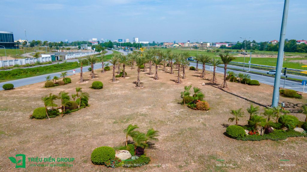 Thiết Kế Và Thi Công Cảnh Quan – Xây Dựng Không Gian Sống Bền Vững 5 Thiết kế cảnh quan tam giác Bệnh viện Bạch Mai cơ sở 2