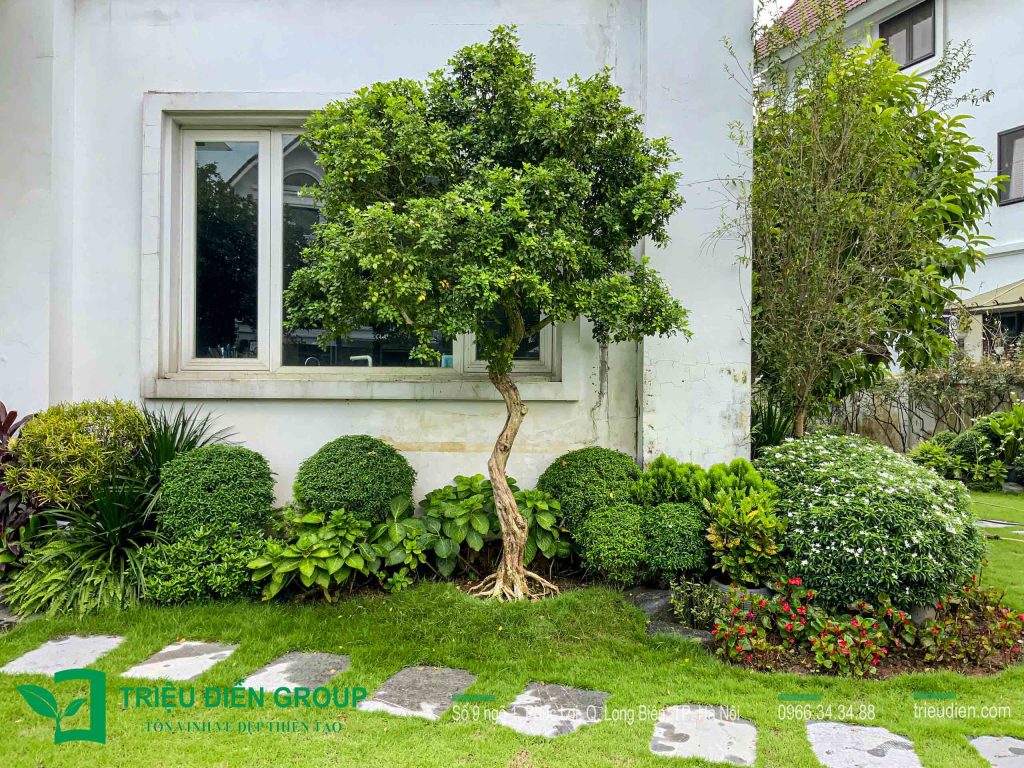 10 Mẫu Thiết Kế Thi Công Sân Vườn Biệt Thự Vinhomes 23 Thiết kế thi công sân vườn trọn gói tại hà nội