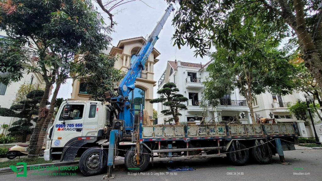 Cải Tạo Sân Vườn Biệt Thự - Không Gian Sống Mới Tại Vinhomes Riverside 6 Thiết kế thi công sân vườn trọn gói tại hà nội