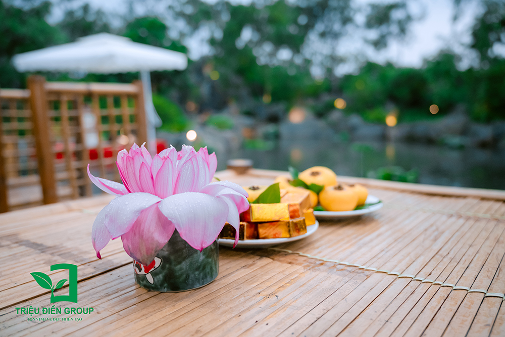 Khu vườn Nhật Kyoumu-Tei chính thức ra mắt – Lời tri ân sâu sắc từ Tập đoàn Triệu Điền 3 Thiết kế thi công sân vườn trọn gói tại hà nội